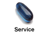 Service